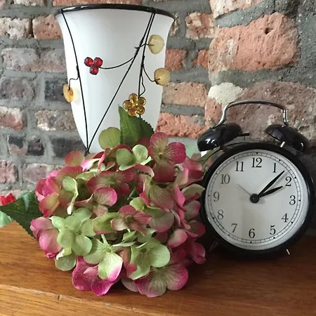 Artagnan 马斯特里赫特