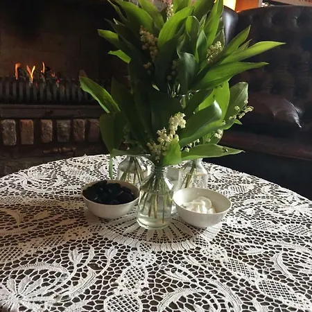 Artagnan Bed & Breakfast Maastricht