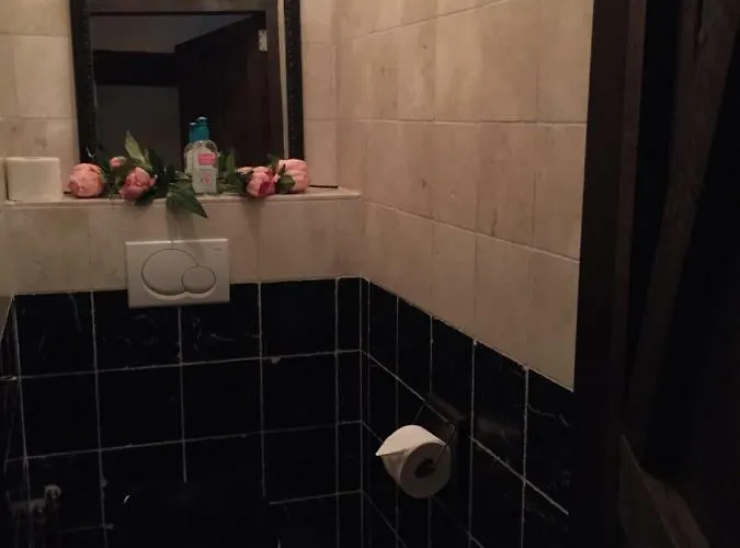 Artagnan Guest house 4*