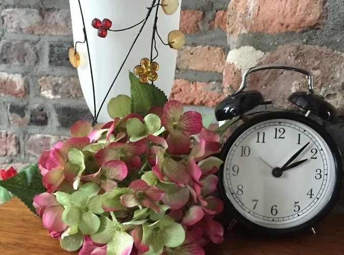 Artagnan ماسترخت