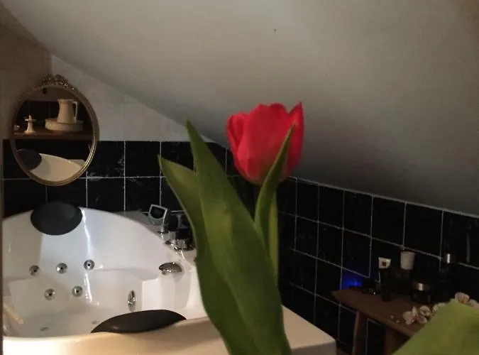 Artagnan Guest house Maastricht