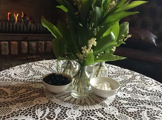 Artagnan بيت ضيافة ماسترخت